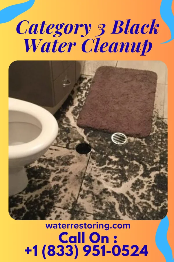 Category 3 Black Water Cleanup in Marlin, PA