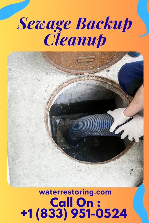 Sewage Backup Cleanup in Marlin, PA